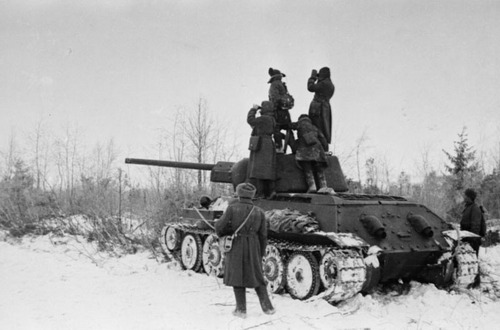 th_921c392cc21de4bf399bf2fd5fa937f4.jpg