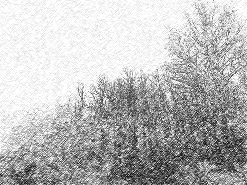th_1447386a03366c7ea454b78c7dd1c5d9.jpg
