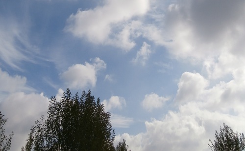 th_267d9296336e62fc6b43a070b94108bb.jpg