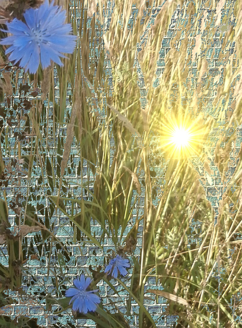 th_f35d84a7e11a7b501dc031637e591dfc.jpg