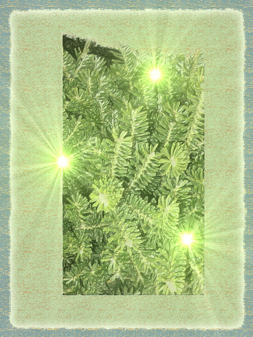 th_1b7dddce6a1ad54ac00614dcc2cb4713.jpg
