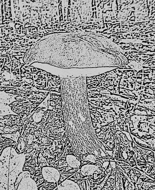 th_1180b37430ab81678141de3bcb4339cc.jpg