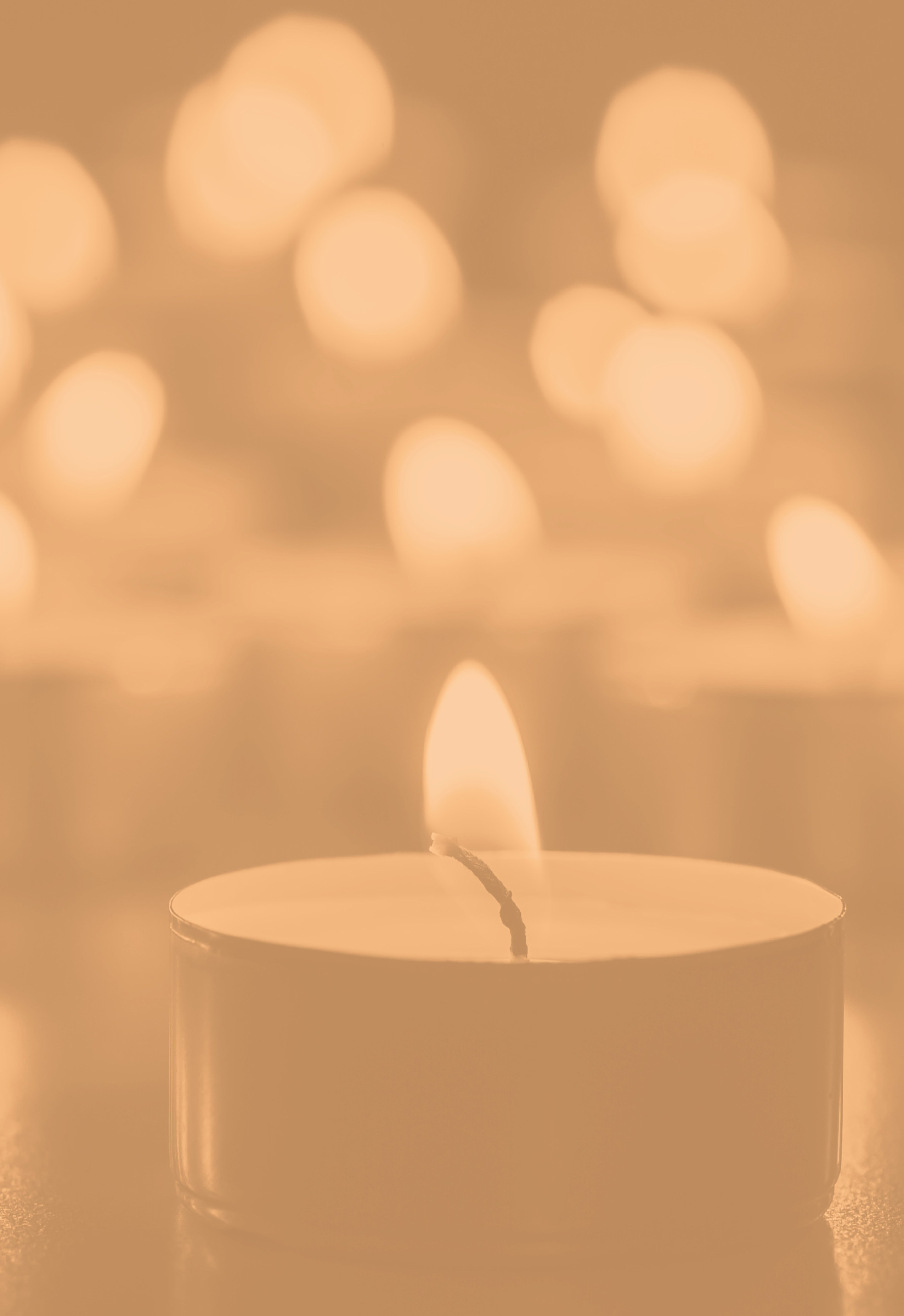 IX Международный Великопостный хоровой фестиваль