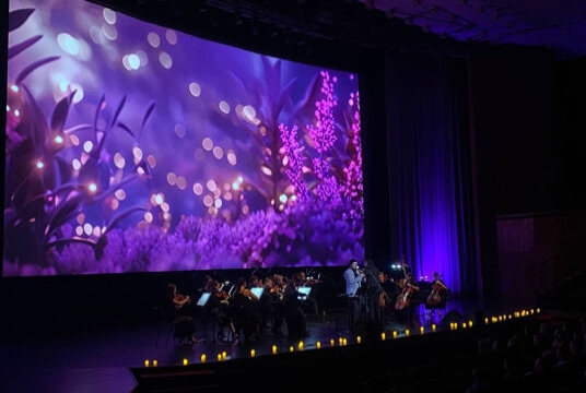 Дудук с оркестром