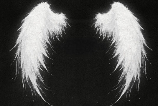 Концерт Hofmannita