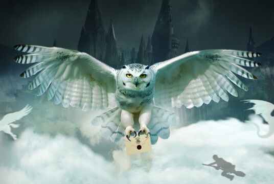 Гарри Поттер. Оркестр Sonorus