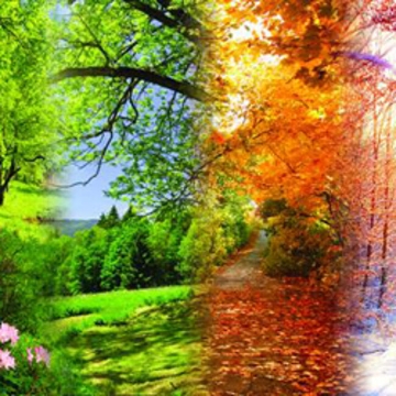 Вивальди. Времена года. Моцарт. Ночная серенада. Паганини. Кампанелла