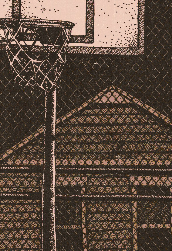 Пекинский Велосипед, Побег, Дорогой Дневник @МО[ТРИ]