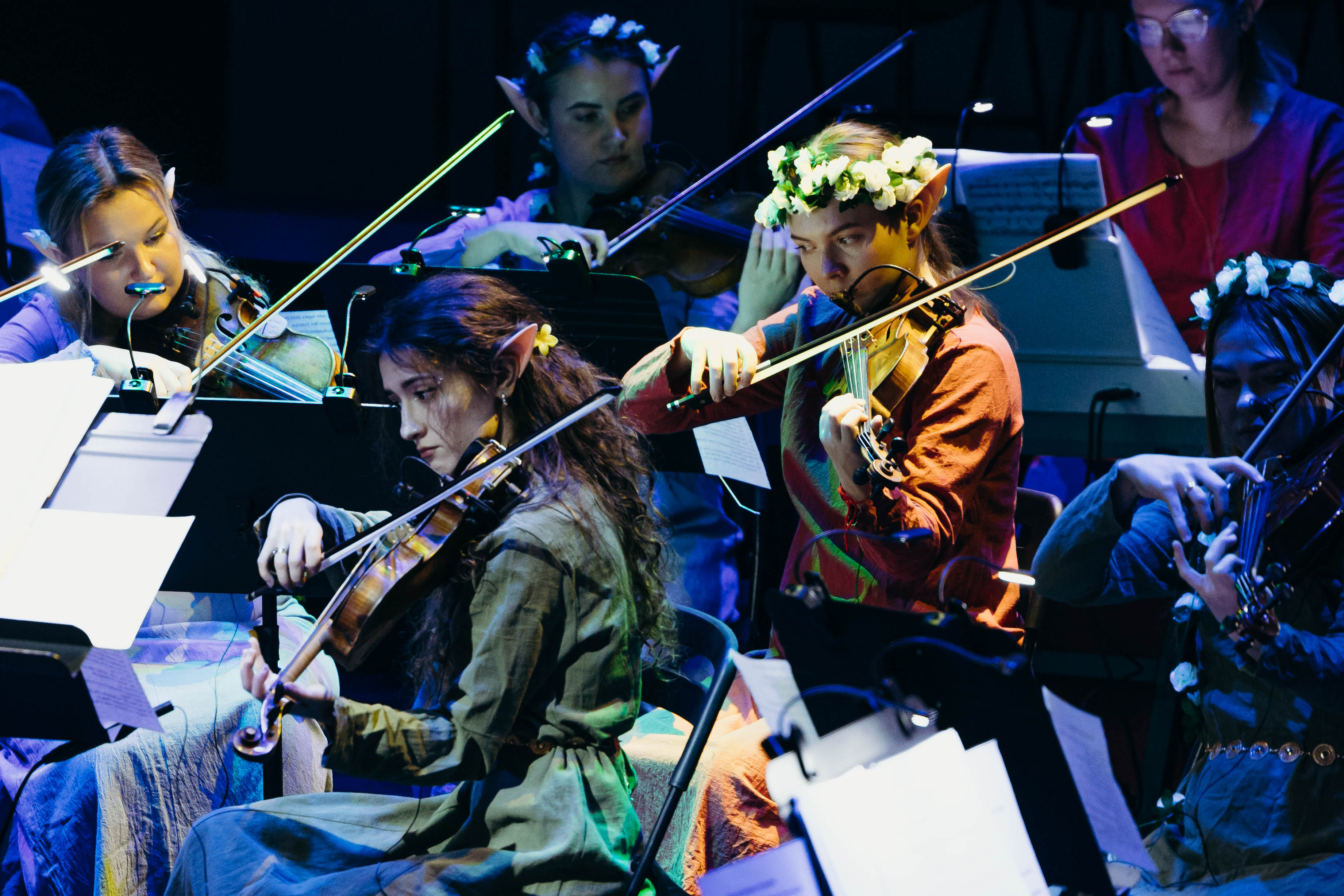 СимфоМультимедия. Властелин колец