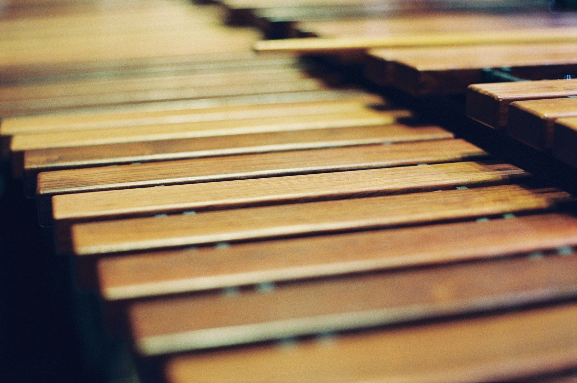 XX век начинается