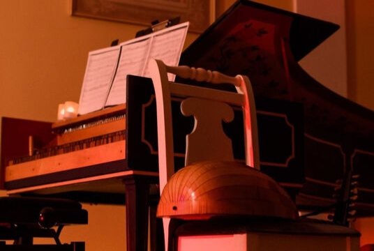 Цикл концертов «Венские портреты»