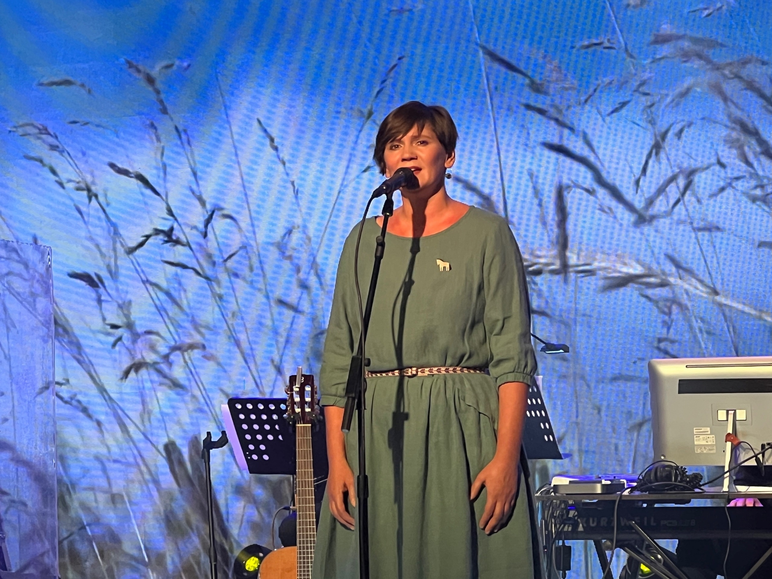 Северная сага