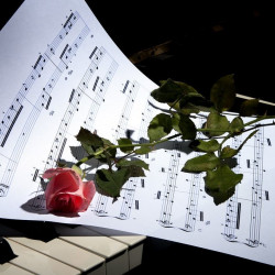 Люмос. Шедевры классики при 1000 свечей