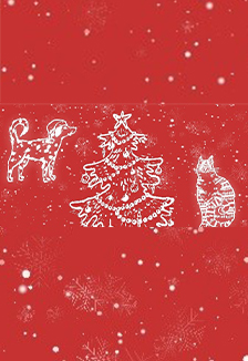 Интерактивная программа для детей «Кошки против собак»