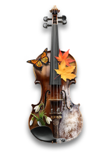 Emotions: Времена года