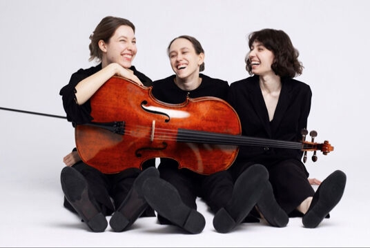 Предновогодний квартирник der Wanderer ensemble!