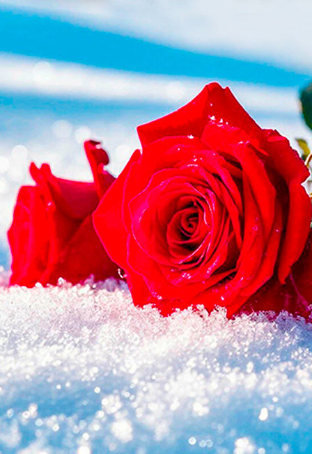 Праздничный концерт