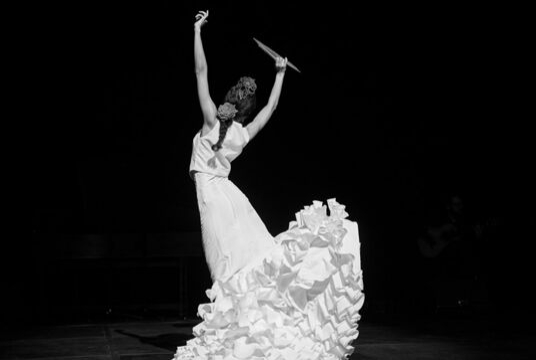 Мавританские виолы фламенко