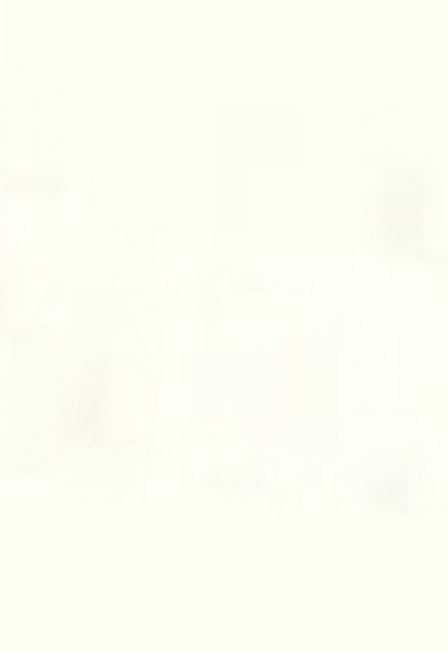 Синестезия L1VE25