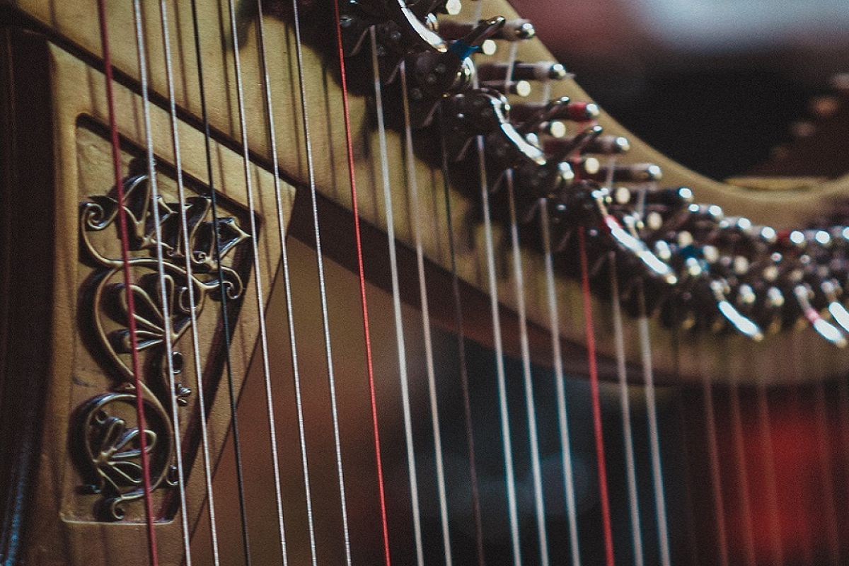 День святого Патрика: Ирландское шоу. Орган, кельтская арфа, скрипка