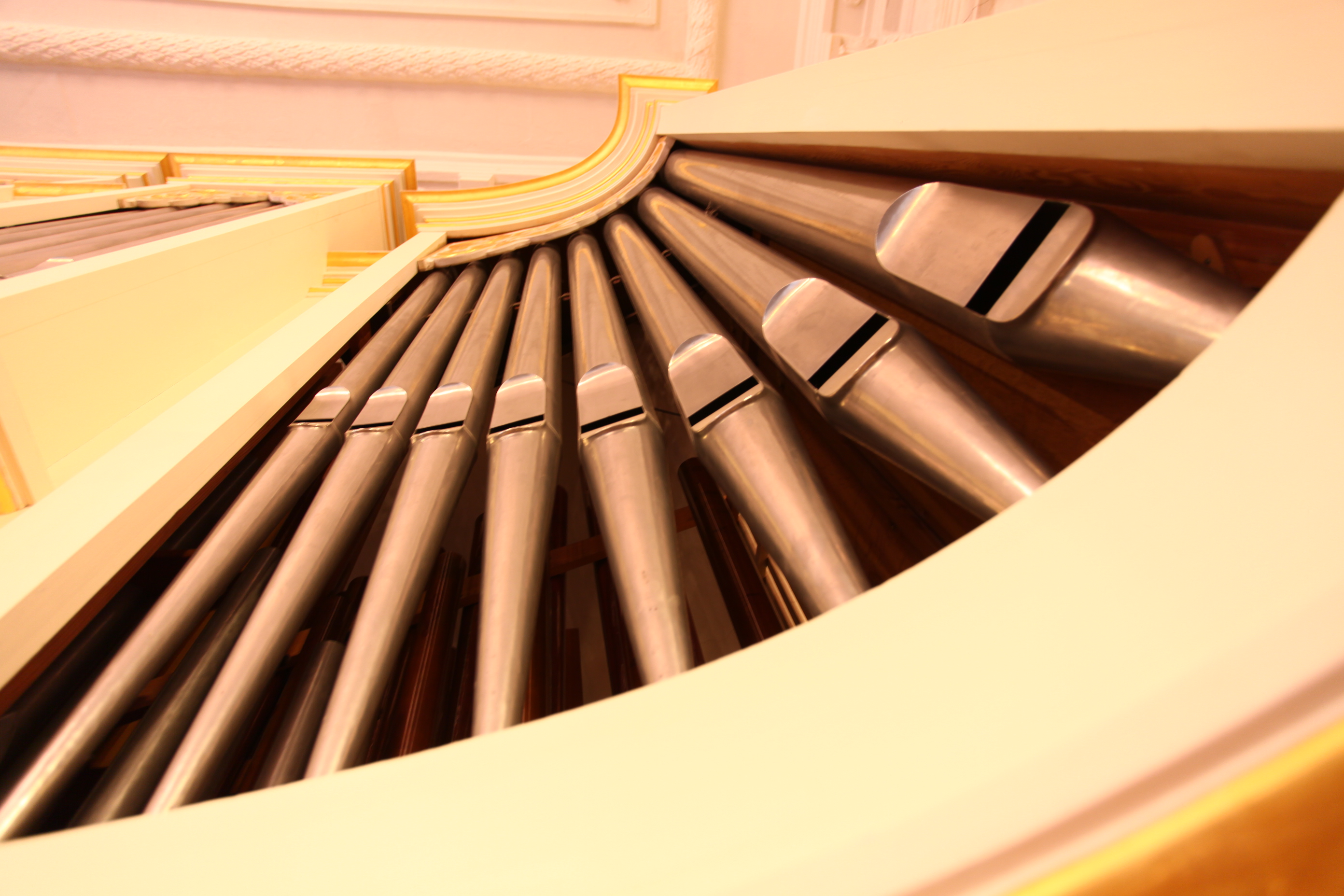 Виталия Котова, Людмила Горохова и Мария Резник