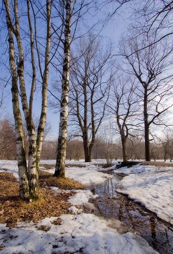 Жжём по-весеннему. Концертная программа