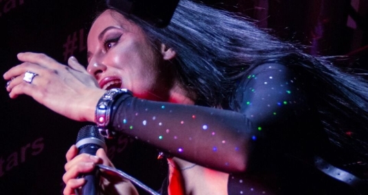 Evanescence tribute show
