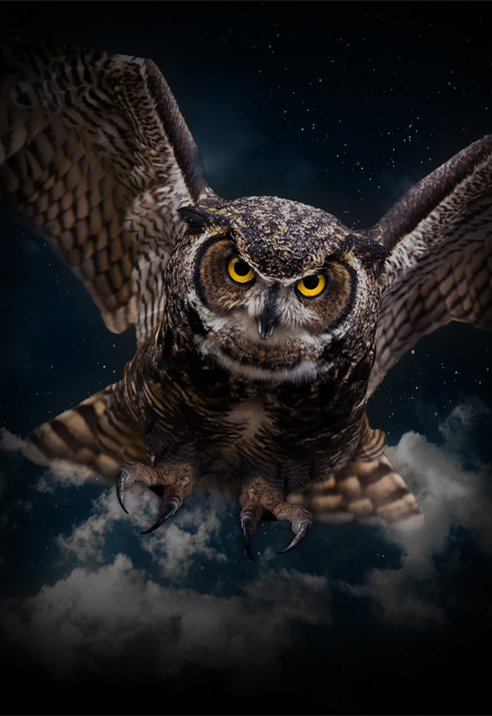 Magic Music of Harry Potter