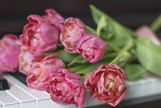 Для любимых женщин