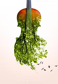 Времена года. Вивальди. Пьяццолла