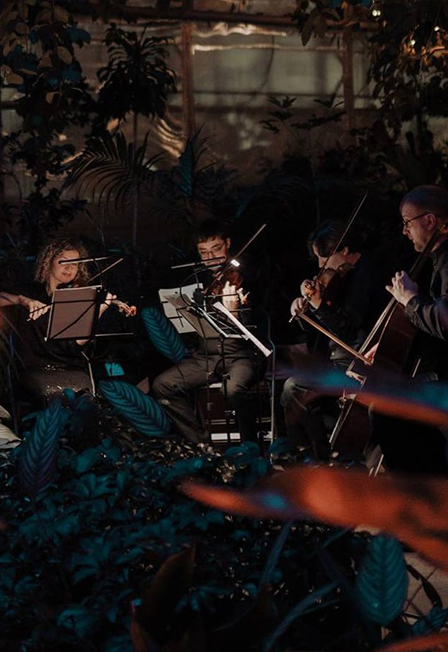 МАГИЯ СВЕЧЕЙ. «От Вивальди до рок-хитов» в Оранжерее