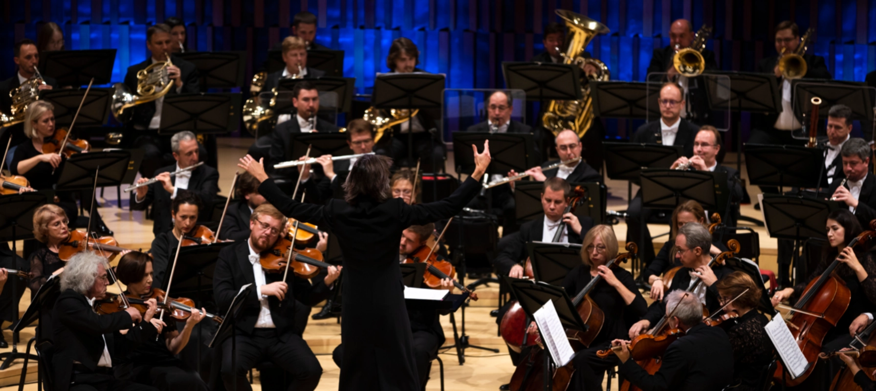 ГАСО, дирижёр — Филипп Чижевский, Борис Андрианов