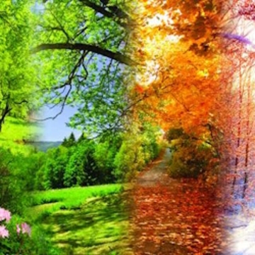 Шедевры великих композиторов. Вивальди. Времена года. Шуман. Концерт