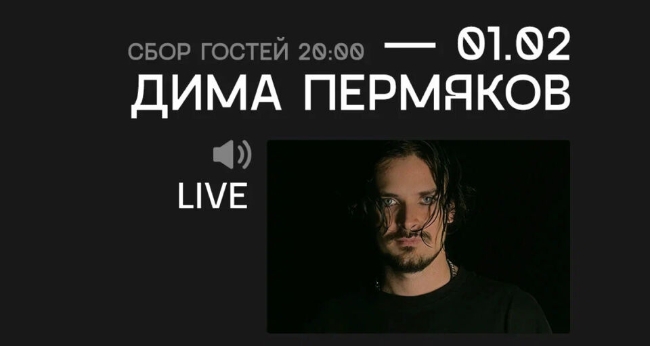 Концерт Димы Пермякова