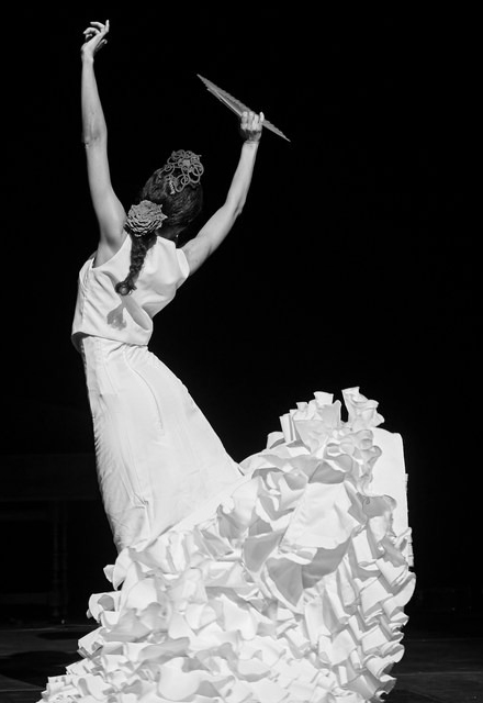 Мавританские виолы фламенко