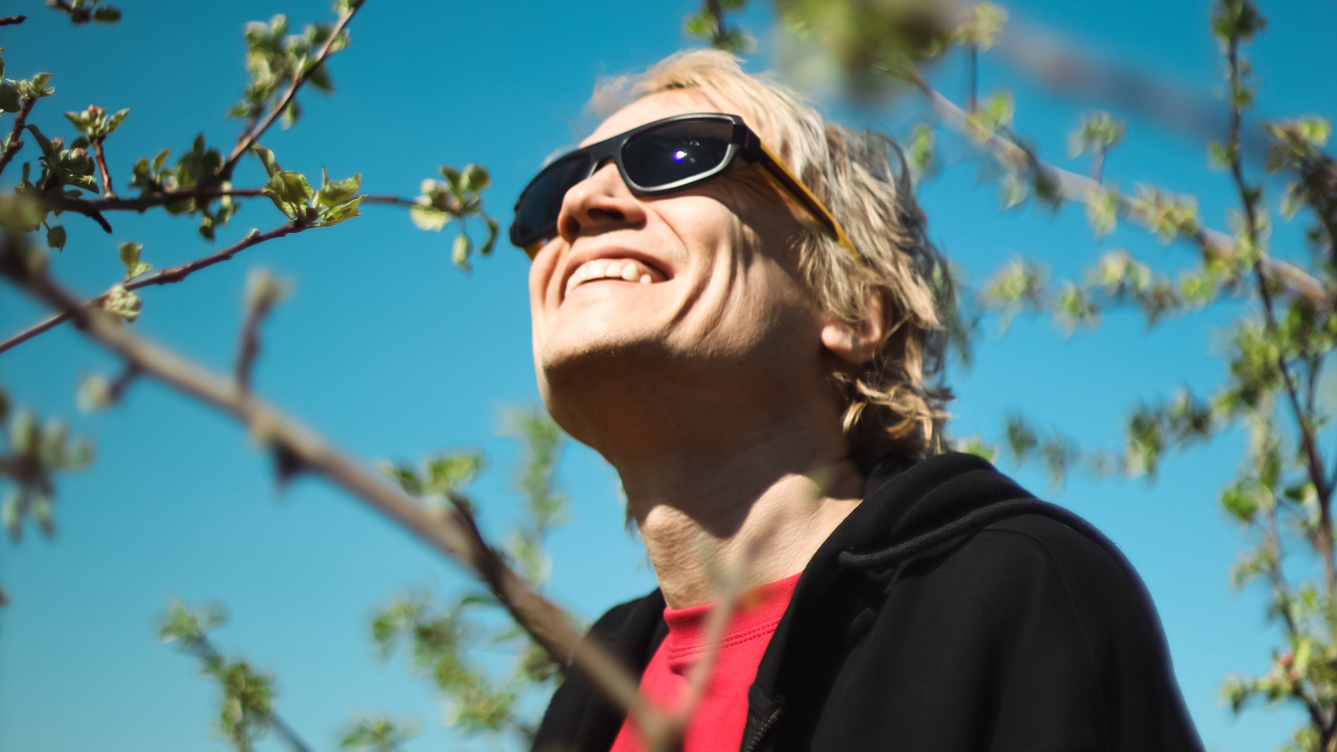 Мультфильмы