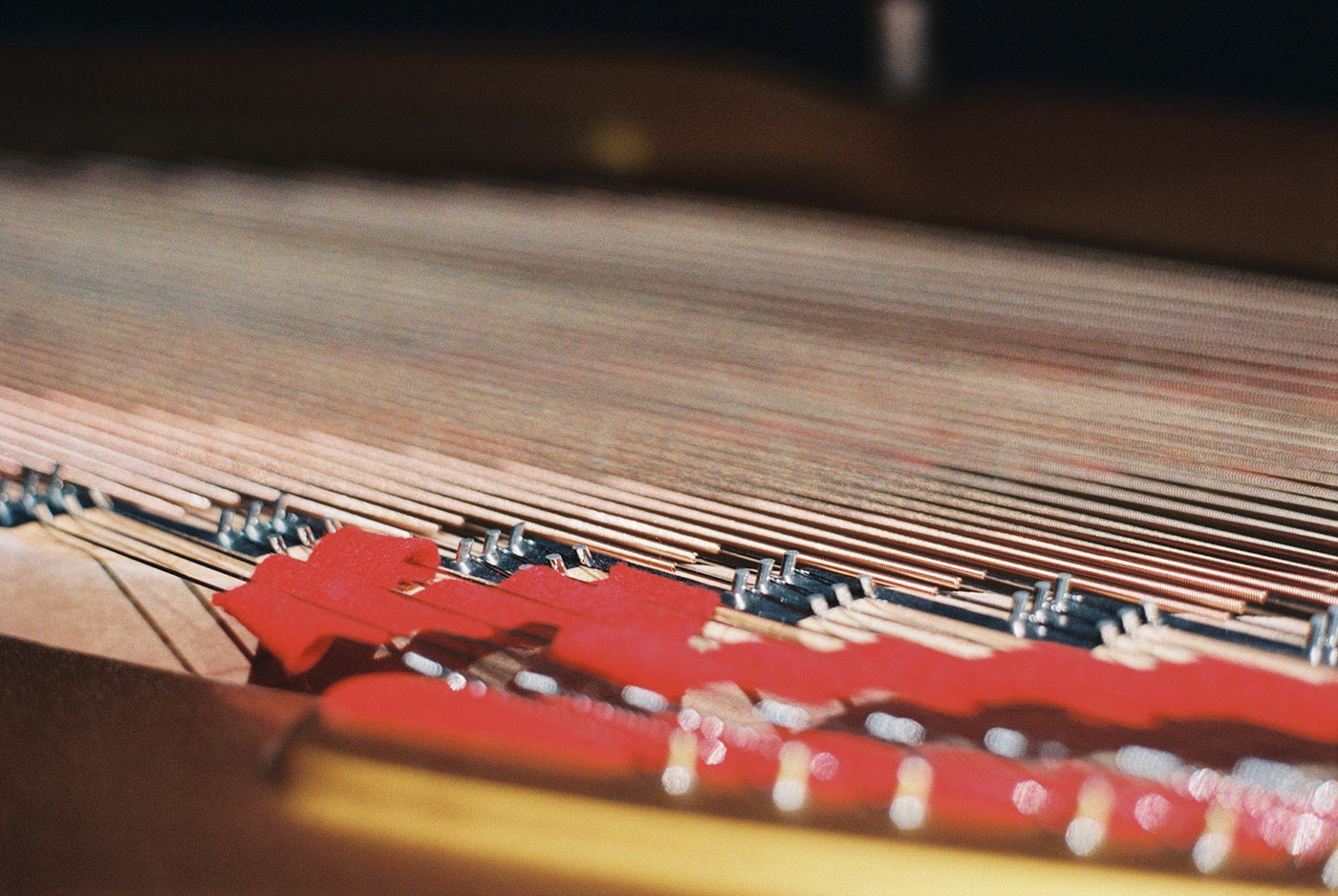 Фарук Калайджи: Летний фортепианный фестиваль Pianissimo 2025