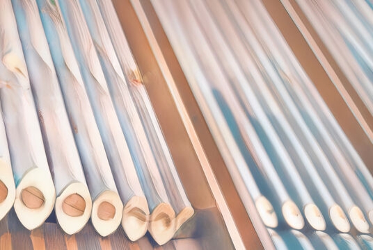 Концерт органной музыки «Свадебный марш и не только»