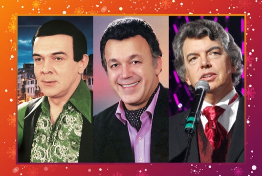 Праздничный новогодний концерт мастеров искусств