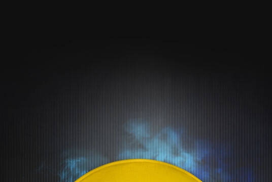 Guns N' Roses Tribute show