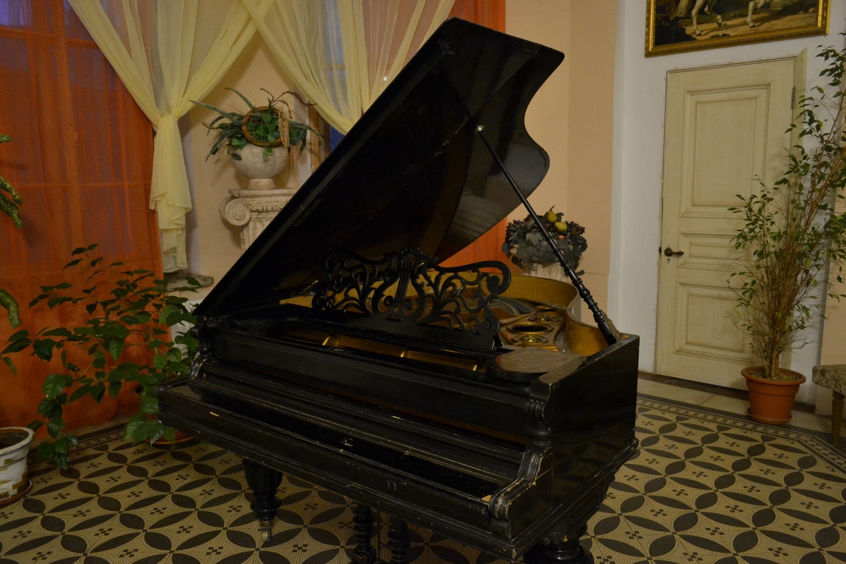 Экскурсия в особняк Шрёдера + Мгновения весны