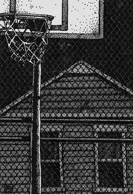 Yourneck, prospal., хуже не будет, north migration