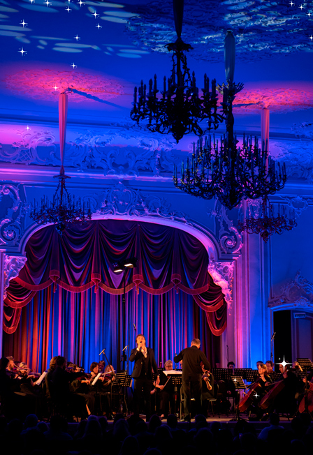 Новогодняя феерия