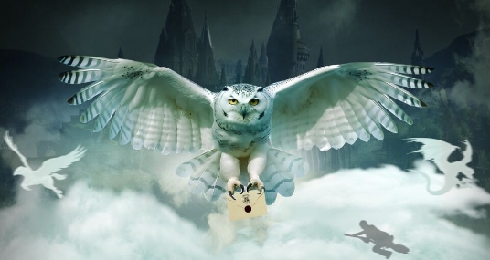 Концерт оркестра «Sonorus» «Гарри Поттер»