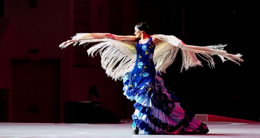 Flamenco Capriccios. Фламенко Каприччио