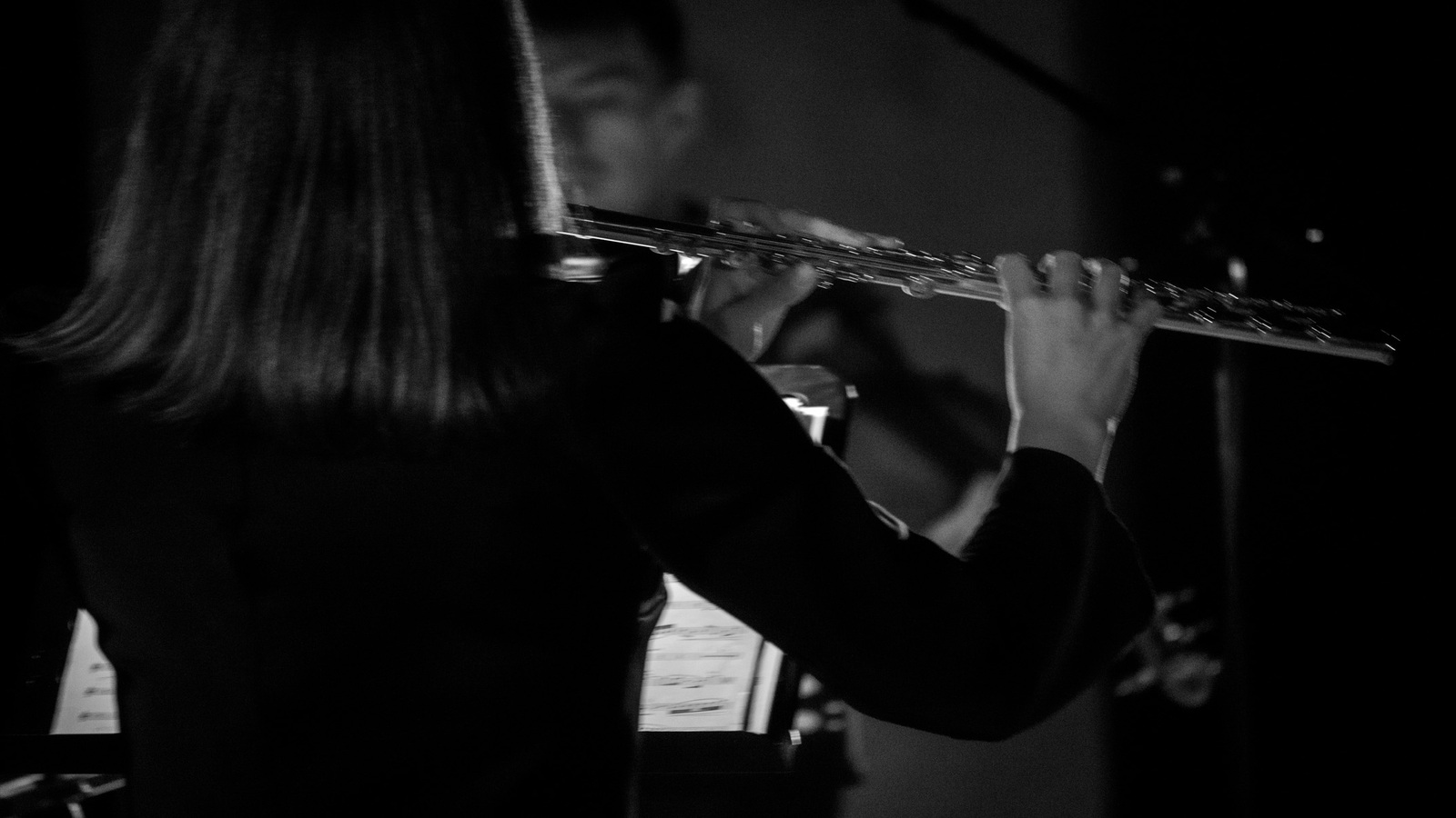 Анна Комарова. Цикл «Рециталы»