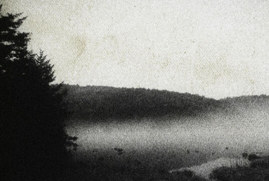 Cage of Creation w/ Fausttophel, Imgvn