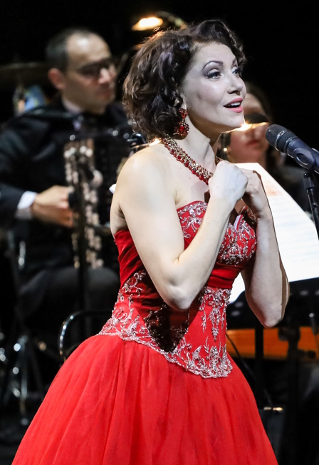 Новогодний сюрприз А.Кольцов И. Елисеев