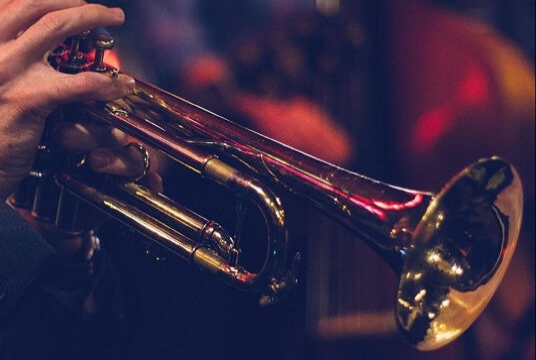 Пятый элемент духового квинтета оркестра театра