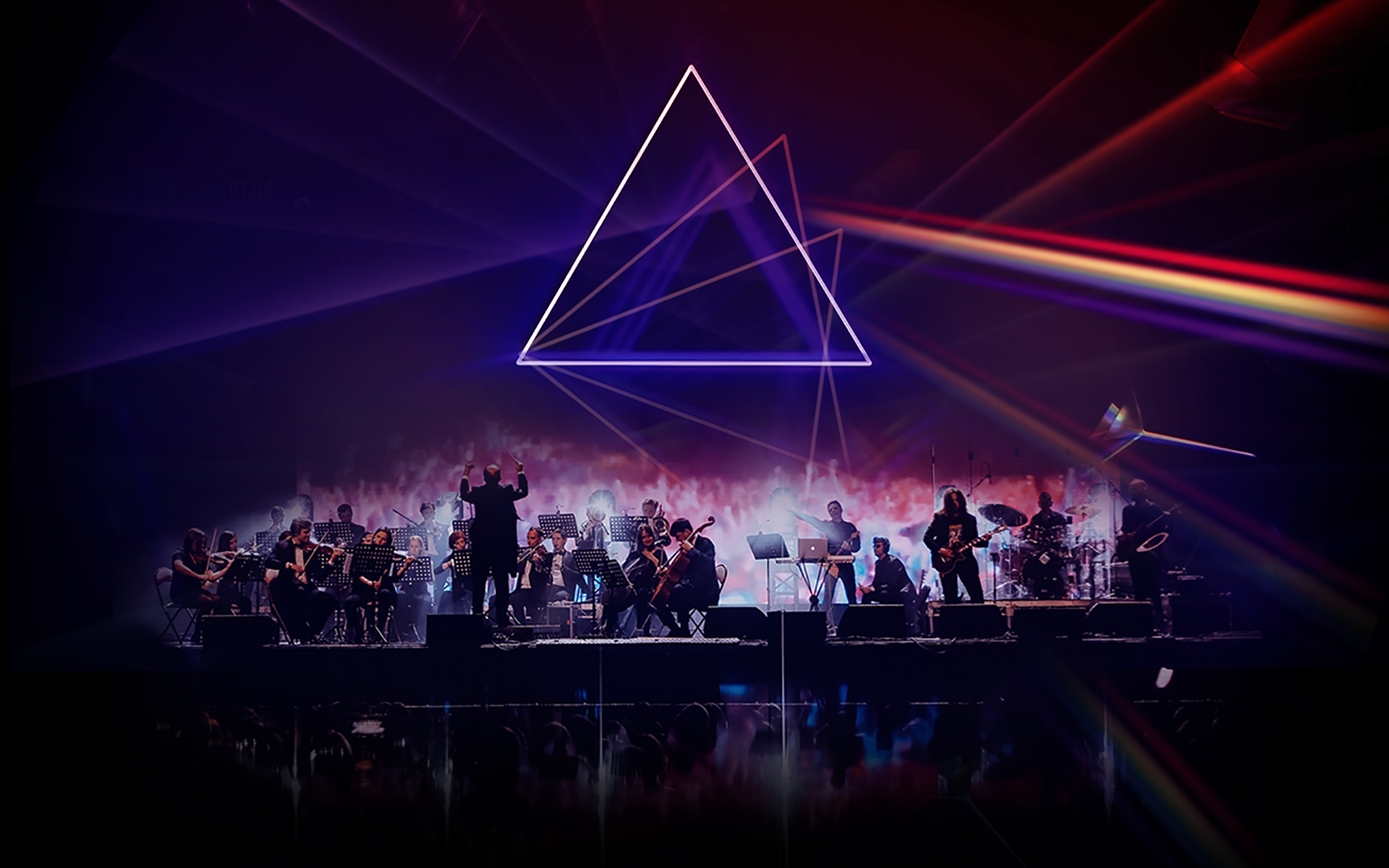 Pink Floyd Show
